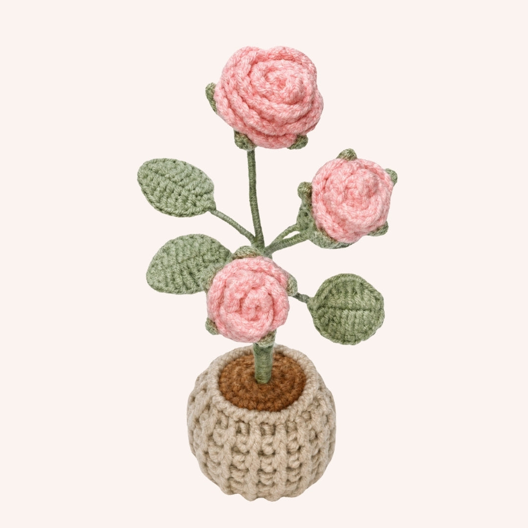 Kit crochet — Le Jardin de Roses