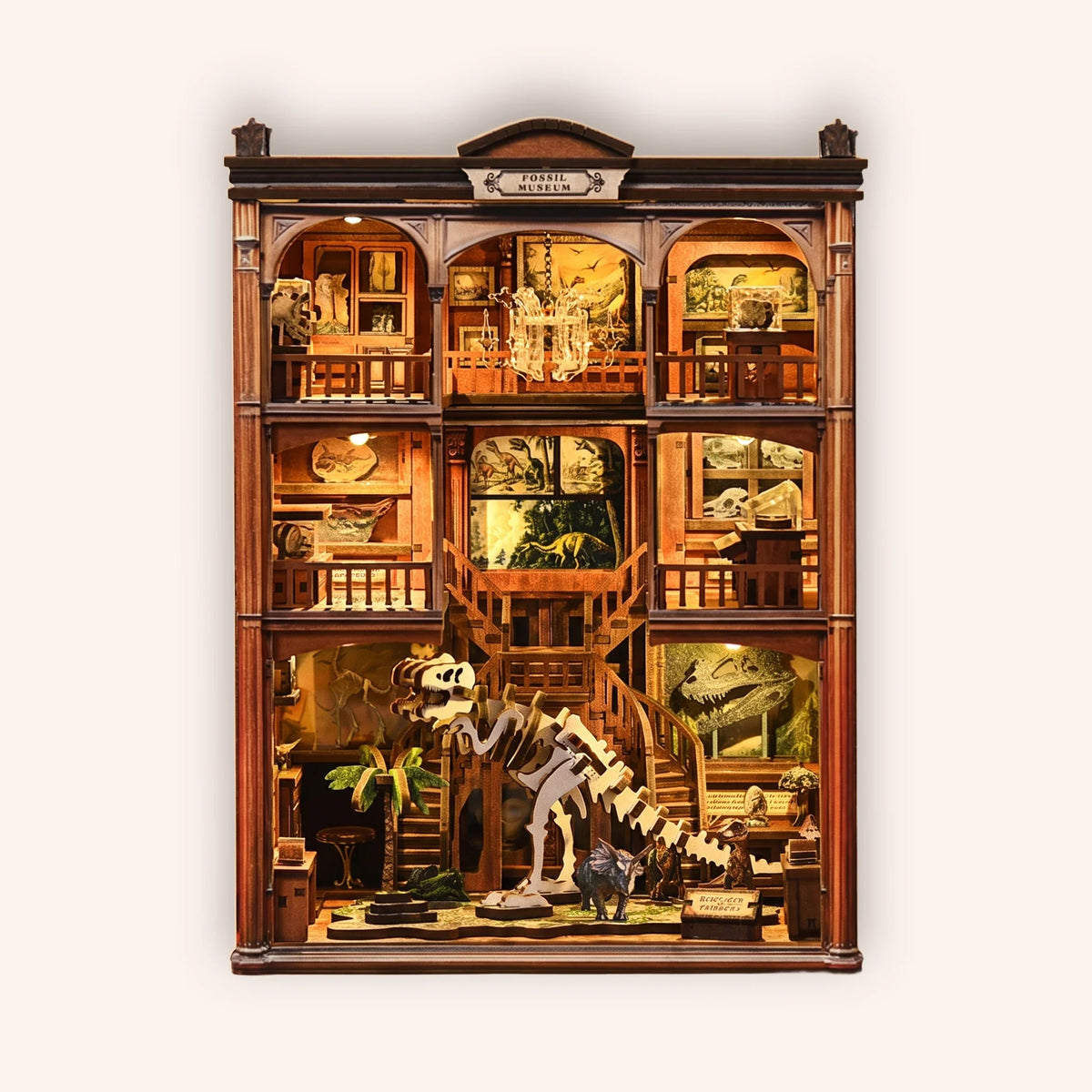 Book nook — Le Musée des Fossiles