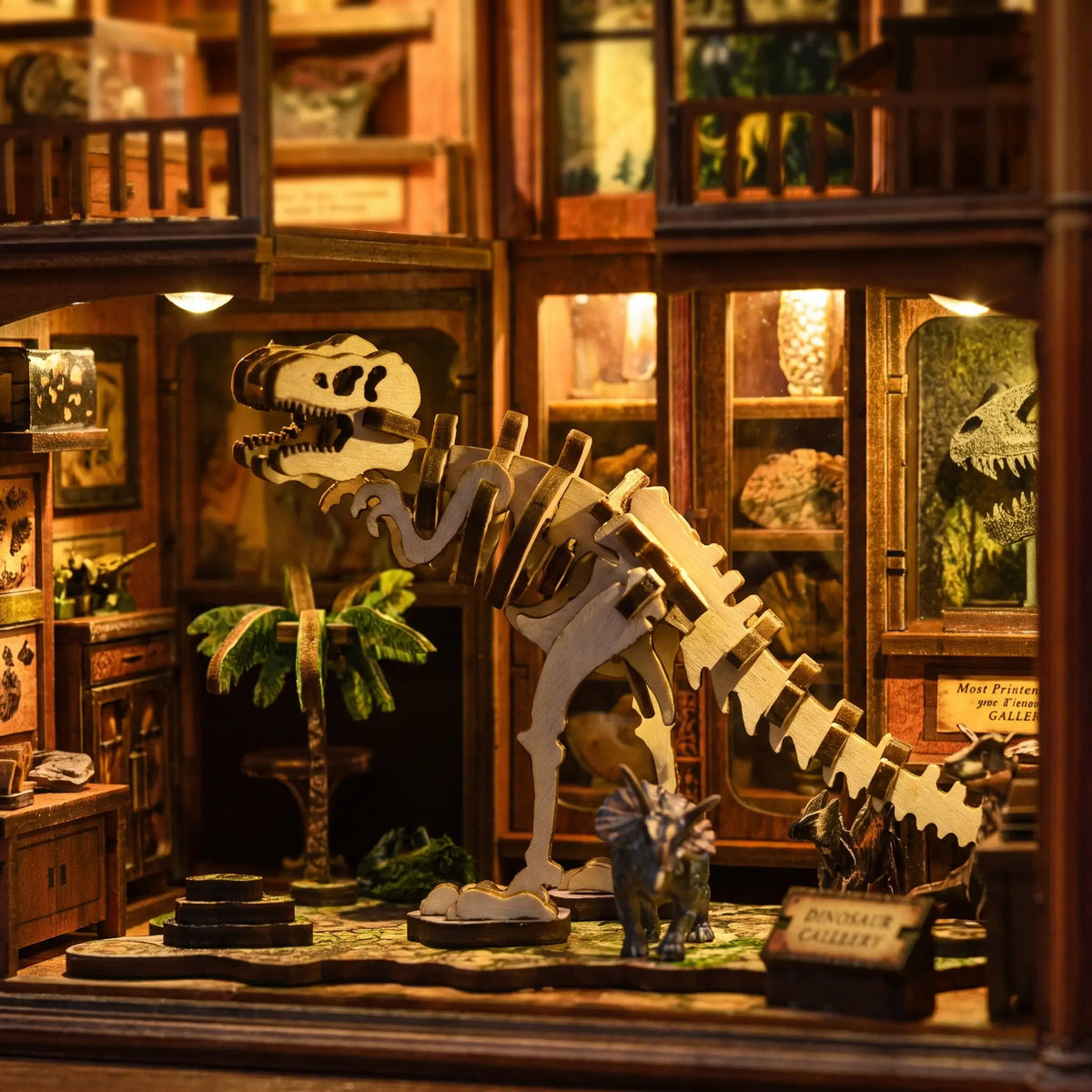 Book nook — Le Musée des Fossiles