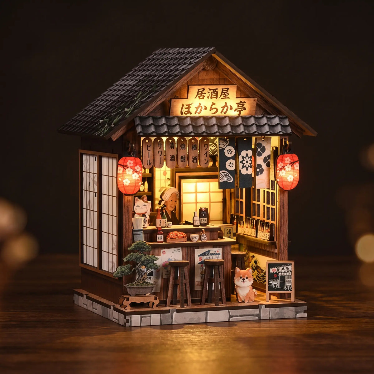 L'Izakaya aux Lanternes (234)