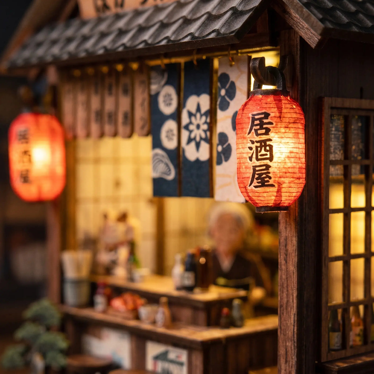 L'Izakaya aux Lanternes (234)